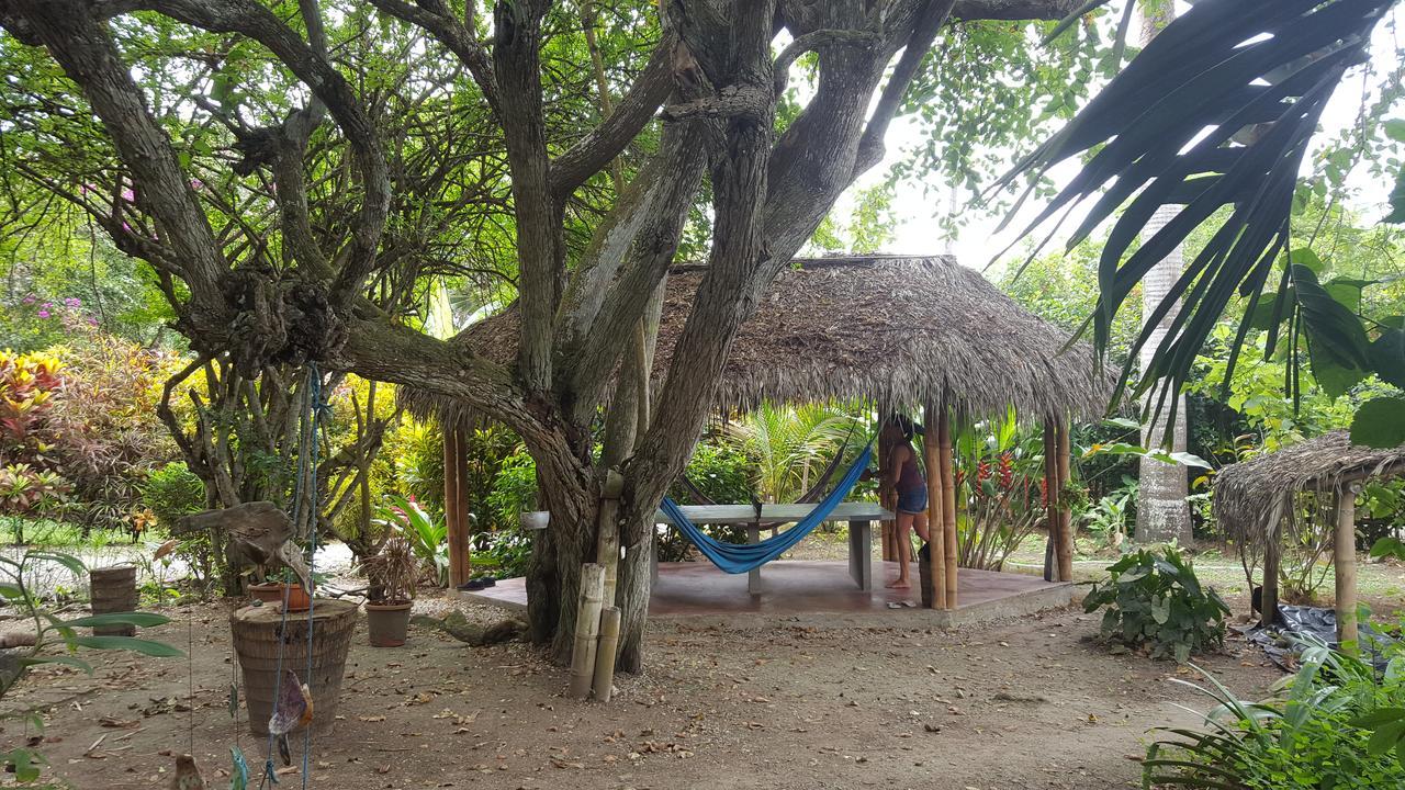 Las Cabanas De La Iguana أيامبي المظهر الخارجي الصورة